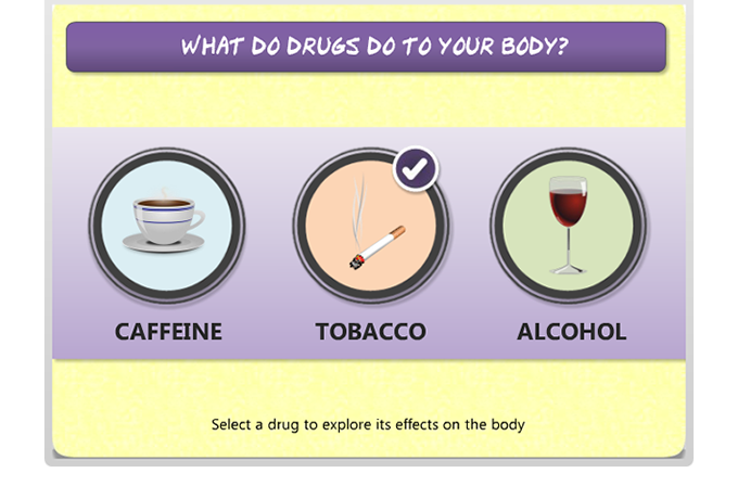Drug Education eBookbox - What do drugs do to your body menu